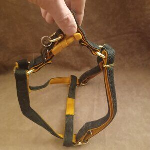 Harness AKC American Kennel Club